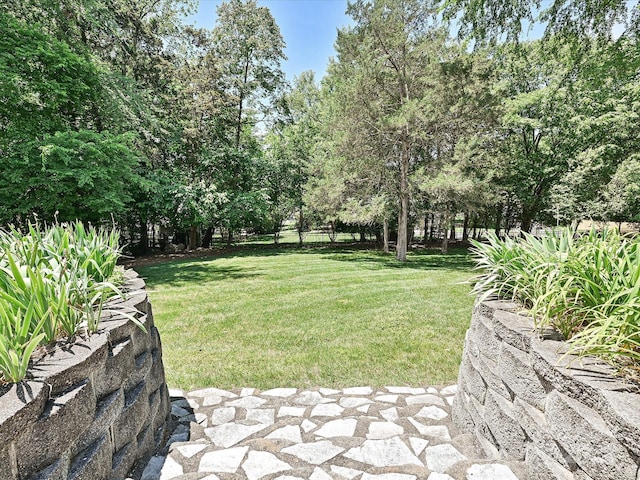 3600 Carmel Rd, Charlotte, NC 28226 - view of yard