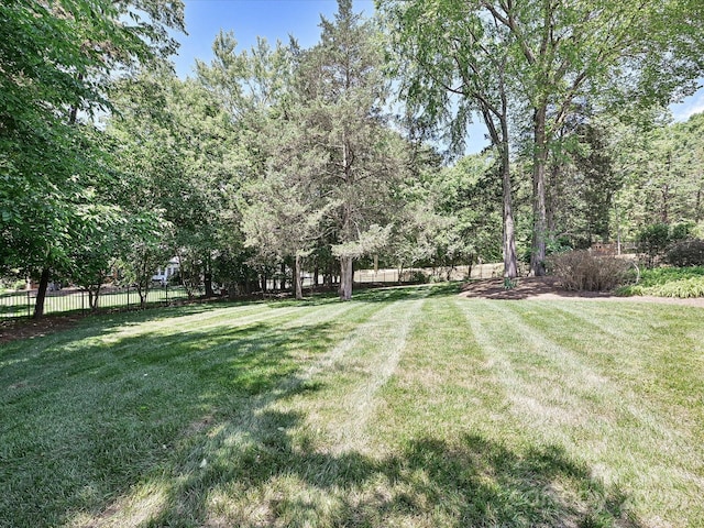 3600 Carmel Rd, Charlotte, NC 28226 - view of yard