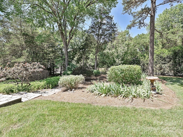3600 Carmel Rd, Charlotte, NC 28226 - view of green lawn