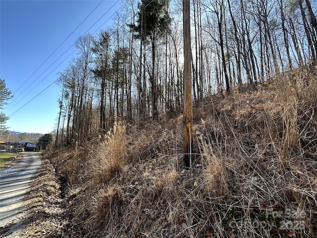 Listing photo 2 for 99999 Lloyd Dr Unit 3A, Mars Hill NC 28754