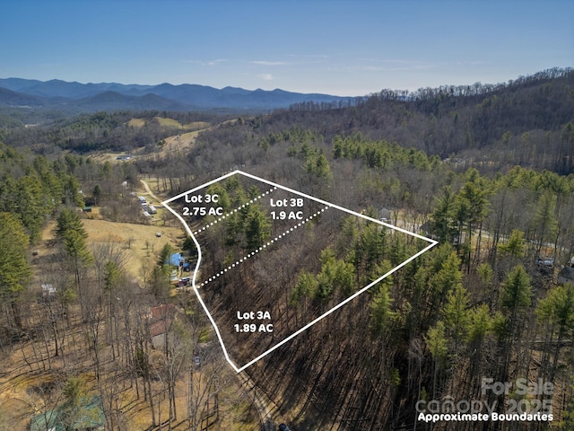 99999 Lloyd Dr Unit 3A, Mars Hill NC, 28754 land for sale