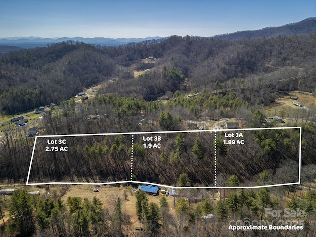 Listing photo 3 for 99999 Lloyd Dr Unit 3A, Mars Hill NC 28754