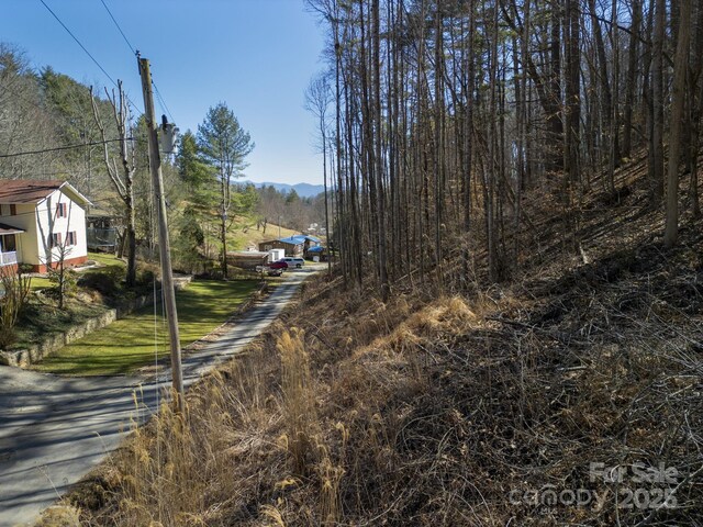99999 Lloyd Dr Unit 3A, Mars Hill, NC 28754