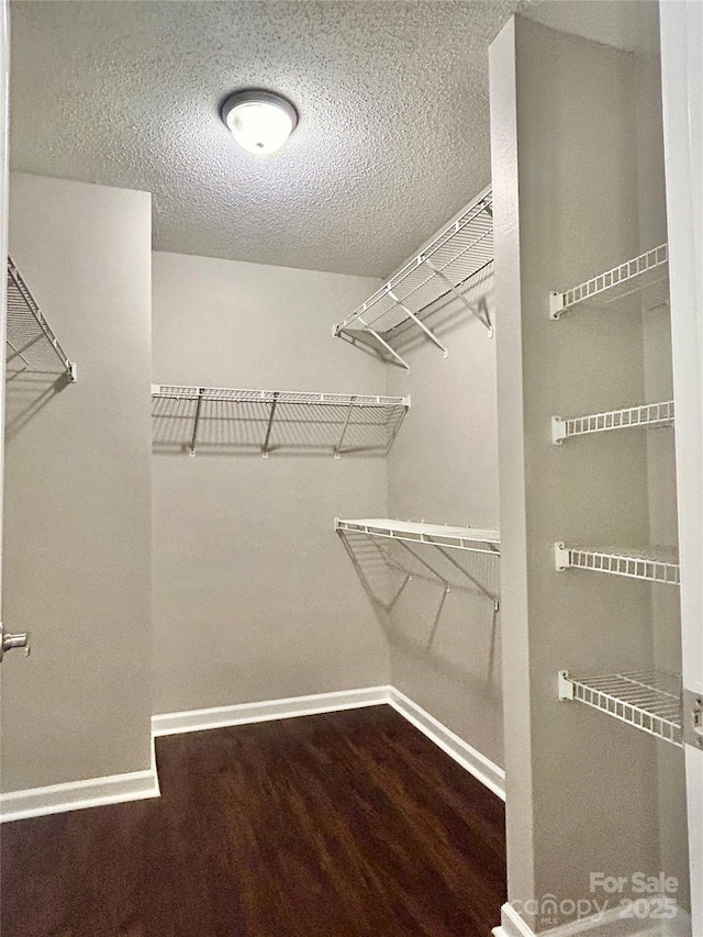 walk in closet featuring wood finished floors