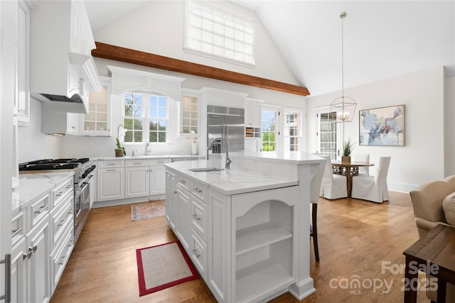 kitchen featuring a wealth of natural light, an island with sink, a sink, and high quality appliances