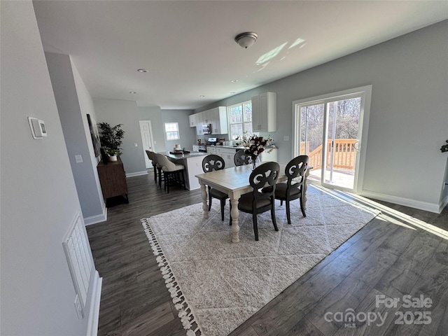 dining room featuring dark wood-type flooring