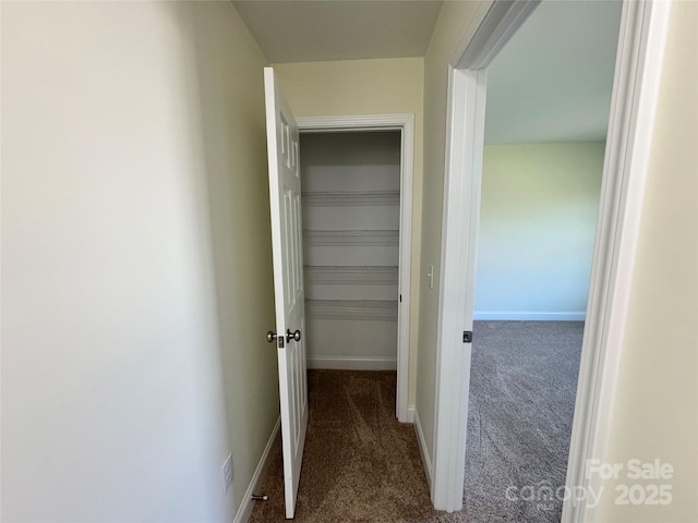 1022 Heath Helms Rd, Monroe, NC 28110 - hall with carpet and baseboards