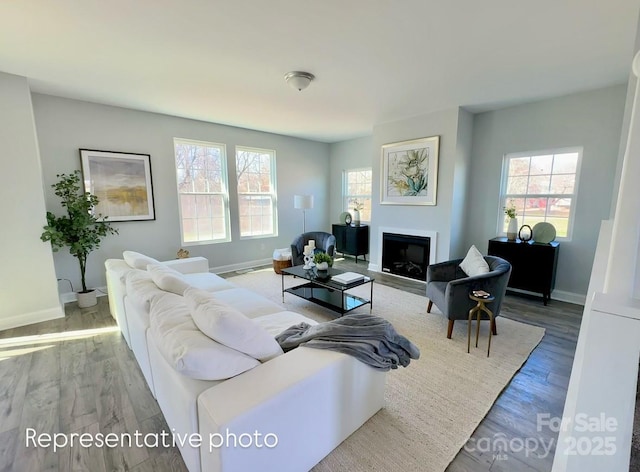 1022 Heath Helms Rd, Monroe, NC 28110 - living area featuring baseboards, healthy amount of natural light, and a fireplace
