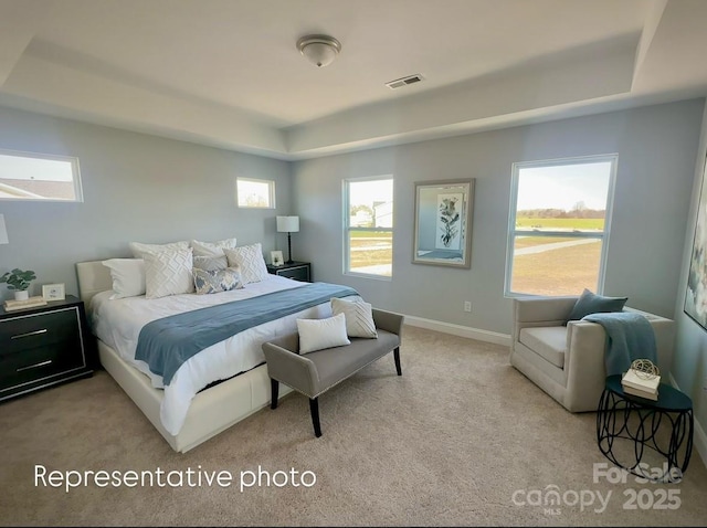 1022 Heath Helms Rd, Monroe, NC 28110 - bedroom featuring a tray ceiling, carpet flooring, multiple windows, and baseboards