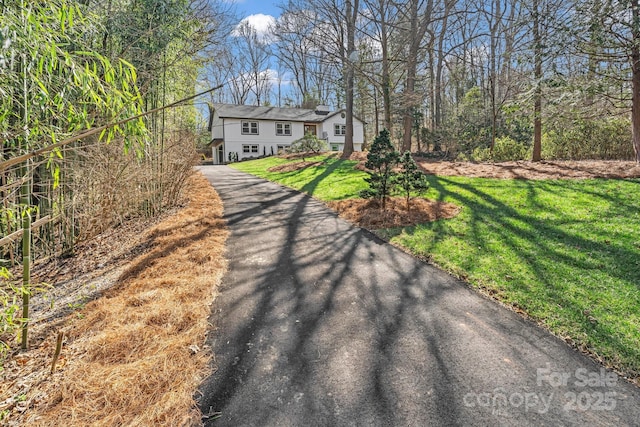 raised ranch with driveway and a front lawn