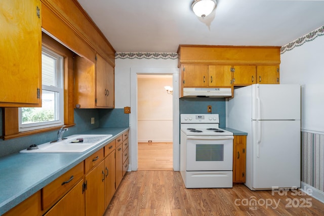 kitchen with sink, white appliances, and light wood-type flooring