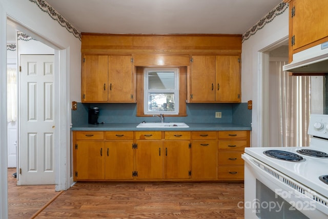 kitchen featuring sink, white range with electric stovetop, and wood-type flooring