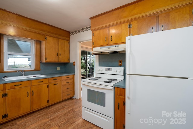 kitchen with white appliances, light hardwood / wood-style flooring, sink, and a wealth of natural light