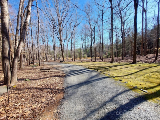 8015 Sullivan Dr Unit 3And 2, Charlotte, NC 28215 - view of road with a view of trees
