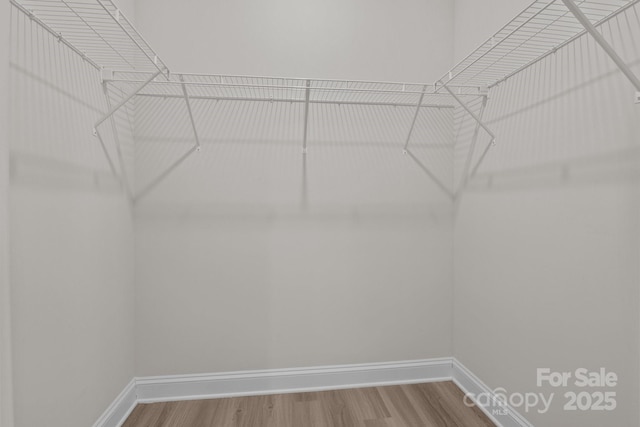 walk in closet featuring wood finished floors