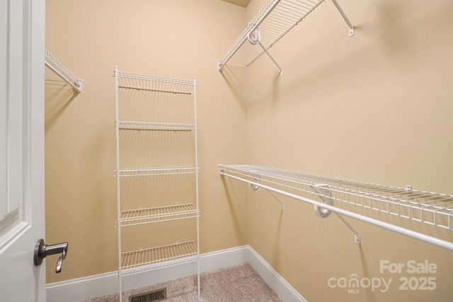 spacious closet with visible vents and carpet flooring