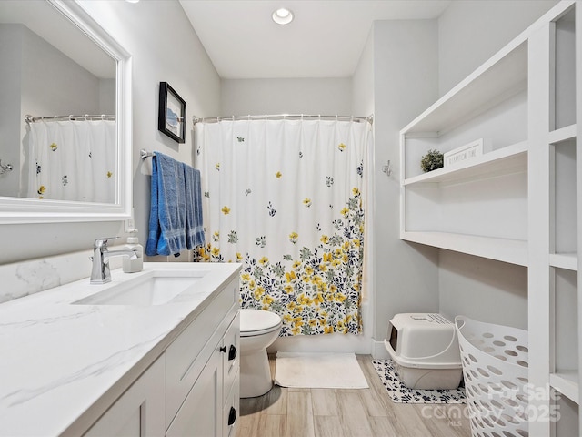 bathroom featuring vanity, toilet, and a shower with shower curtain