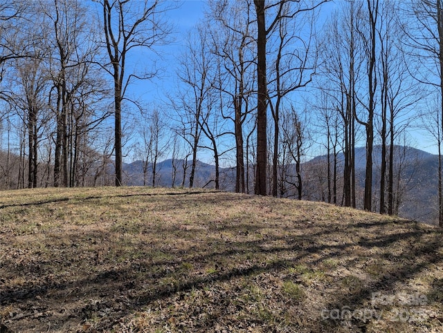 501 Warbler Ln Unit T-62, Black Mountain NC, 28711 land for sale