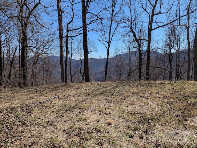 Listing photo 2 for 501 Warbler Ln Unit T-62, Black Mountain NC 28711