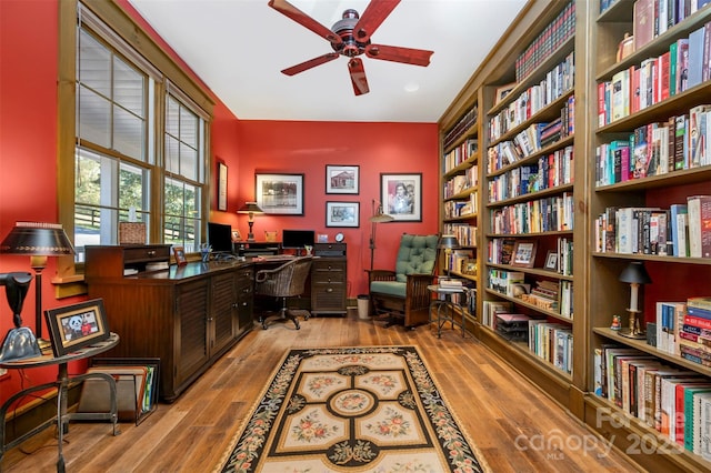 office space featuring ceiling fan and light wood-type flooring