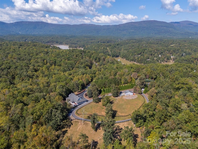 birds eye view of property with a mountain view