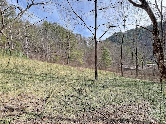 2182-B Meadow Fork Rd, Hot Springs NC, 28743 land for sale