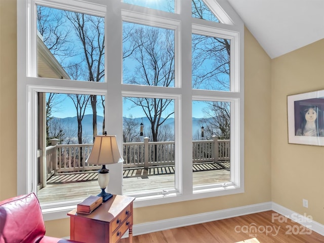 doorway with a mountain view, baseboards, vaulted ceiling, and wood finished floors