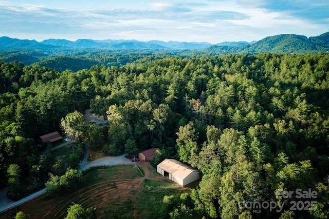 bird's eye view featuring a mountain view and a view of trees