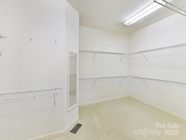 spacious closet with carpet flooring