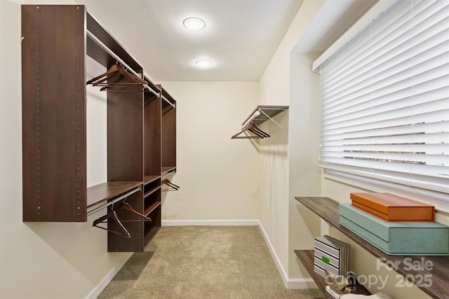 walk in closet with light carpet