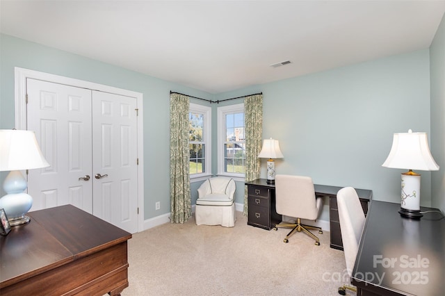 office area featuring carpet flooring