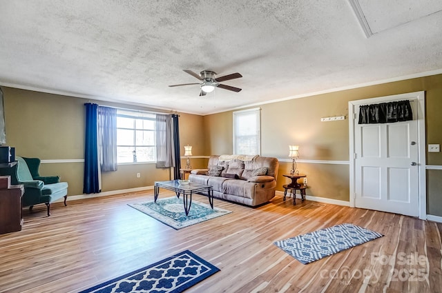 living area with attic access, crown molding, a textured ceiling, and wood finished floors