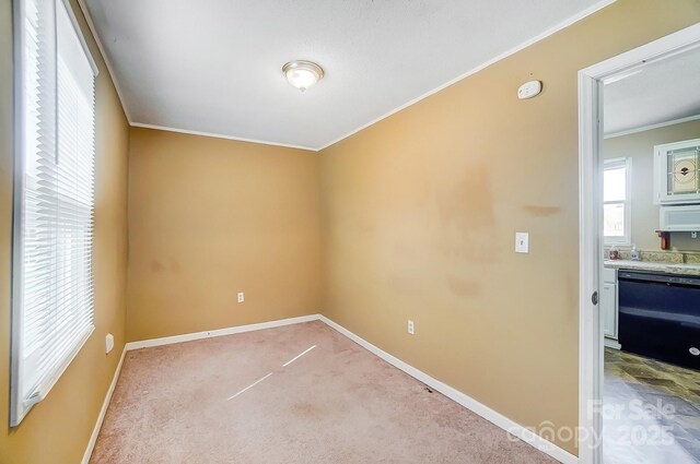 carpeted empty room featuring baseboards and crown molding