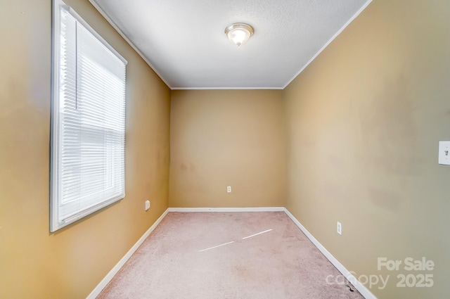 carpeted spare room with ornamental molding and baseboards