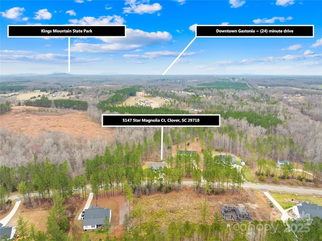 5147 Star Magnolia Ct, Clover, SC 29710 - drone / aerial view
