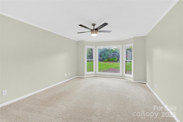 unfurnished room featuring baseboards, carpet, ceiling fan, and crown molding