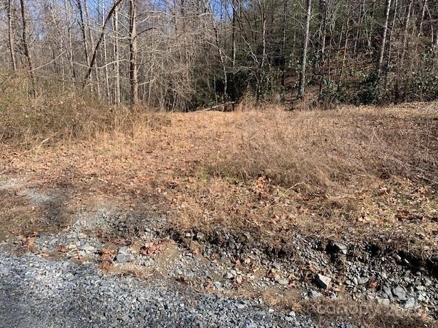 10.01AC Pleasant Grove Rd Unit 3, Hendersonville, NC 28739