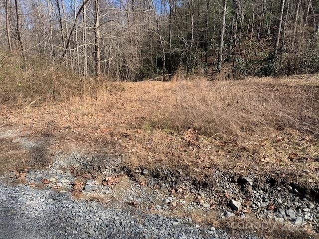 10.01AC Pleasant Grove Rd Unit 3, Hendersonville NC, 28739 land for sale