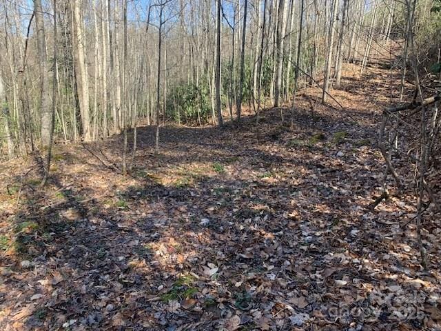 Listing photo 2 for 10.01AC Pleasant Grove Rd Unit 3, Hendersonville NC 28739