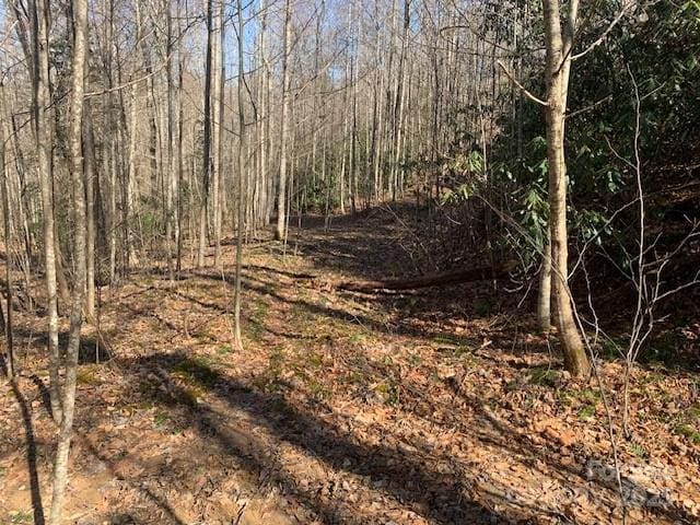 Listing photo 3 for 10.01AC Pleasant Grove Rd Unit 3, Hendersonville NC 28739