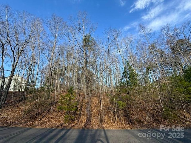 LOT47 Dublin Ln, Columbus NC, 28722 land for sale