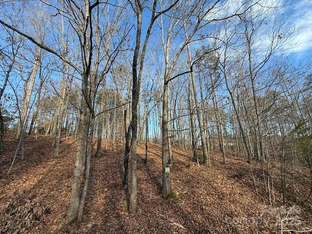 Listing photo 2 for LOT47 Dublin Ln, Columbus NC 28722