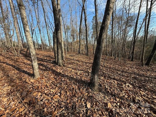 Listing photo 3 for LOT47 Dublin Ln, Columbus NC 28722