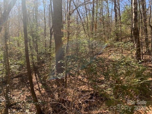 TRACT4 Justus View Rd Unit 4, Hendersonville NC, 28739 land for sale