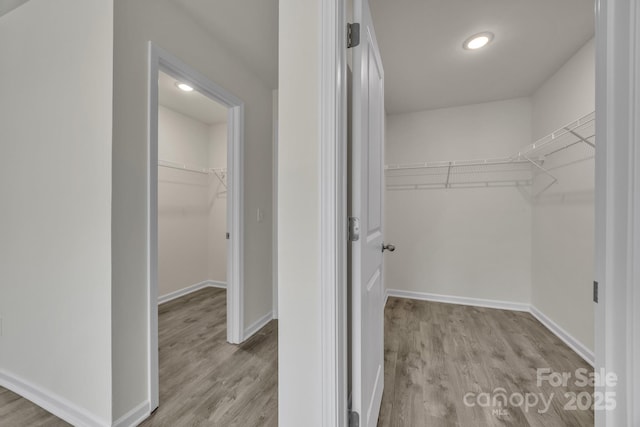 walk in closet with light wood-style flooring