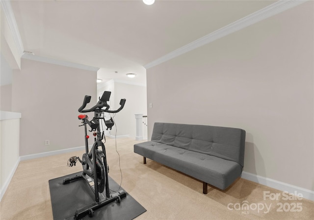 workout area featuring ornamental molding and light carpet