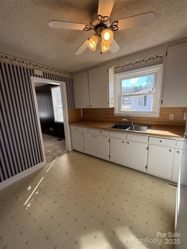 kitchen with white cabinetry, ceiling fan, sink, and a textured ceiling