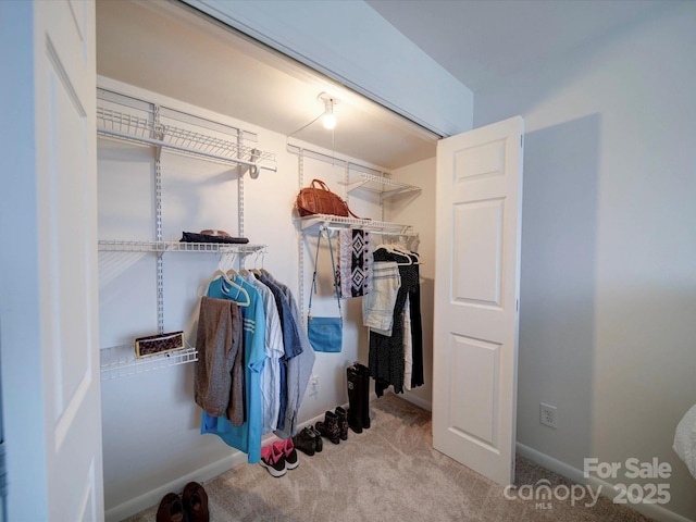 walk in closet with carpet