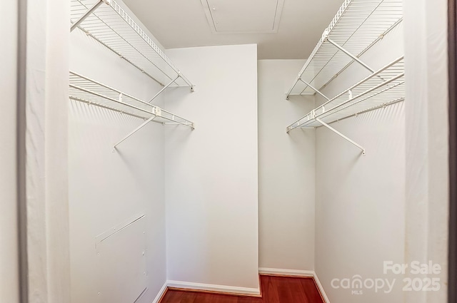 walk in closet featuring wood finished floors