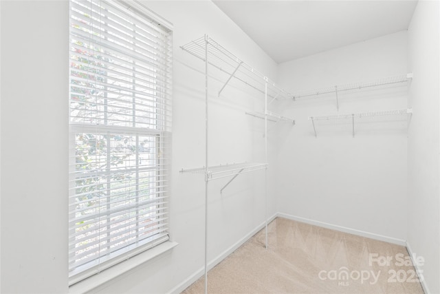 spacious closet with light carpet